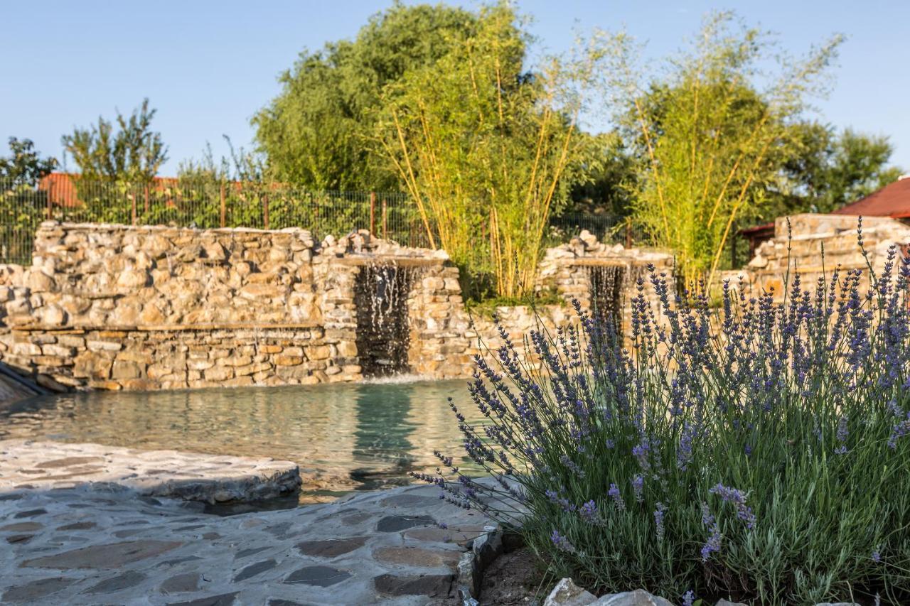 Country Spa Retreat Snagov Bagian luar foto The fountain at the entrance of the park